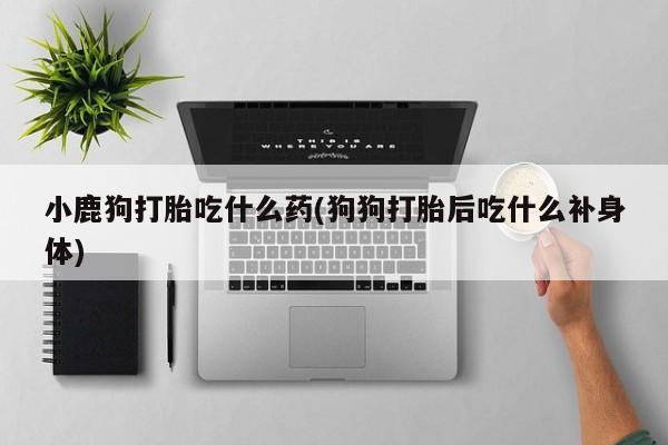 流产药使用小鹿狗打胎吃什么药(狗狗打胎后吃什么补身体)
