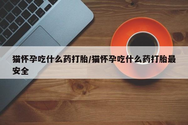流产药使用猫怀孕吃什么药打胎/猫怀孕吃什么药打胎最安全