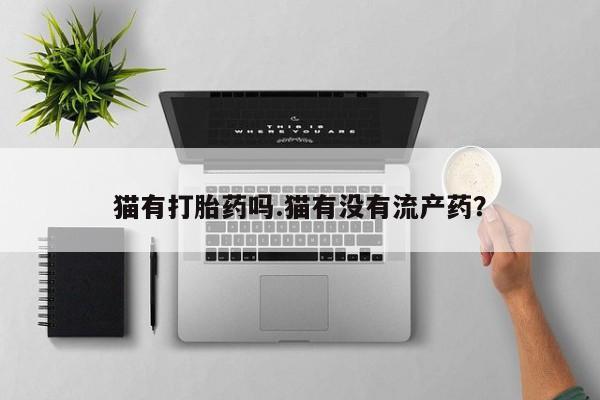 流产药使用猫有打胎药吗.猫有没有流产药？