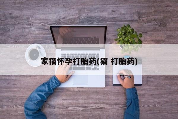 流产药使用家猫怀孕打胎药(猫 打胎药)