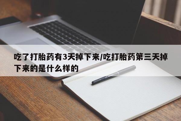 流产药使用吃了打胎药有3天掉下来/吃打胎药第三天掉下来的是什么样的